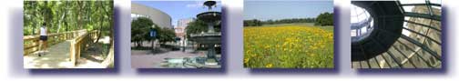 Photos of places in Leon County